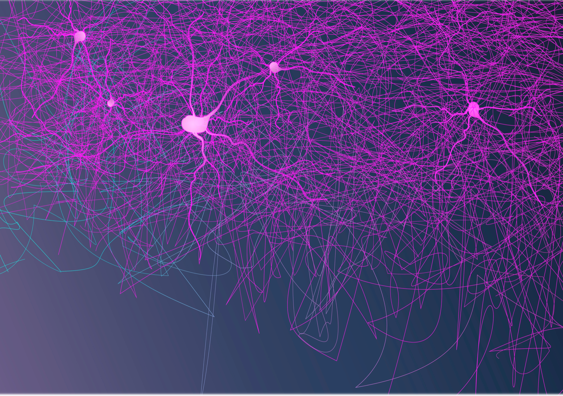 NeuroDSM branded header visual
